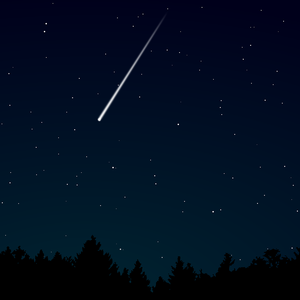 真人真事破女处苞
